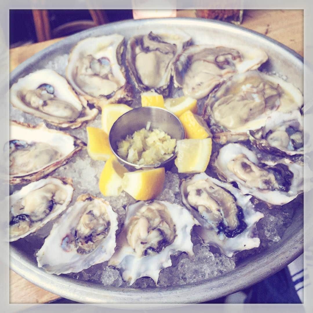 navy soho oysters